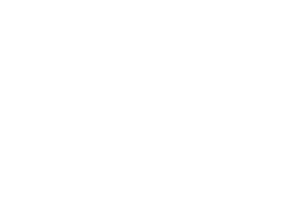 MAIVI Logo
